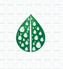 Tautropfen auf einem Blatt